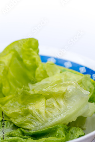 Extreme macro green lettuce salad copy space closeup