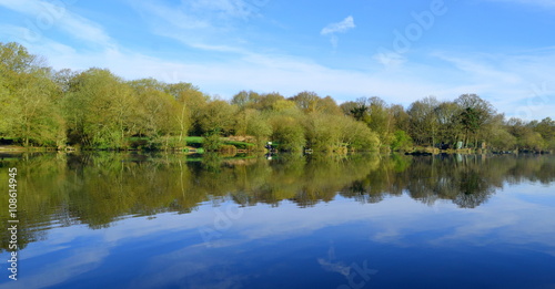 Forest reflected on a lake in Trent Park, London