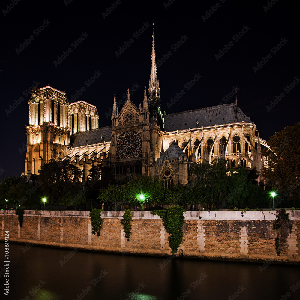 Notre Dame de Paris Cathedral at night, France
