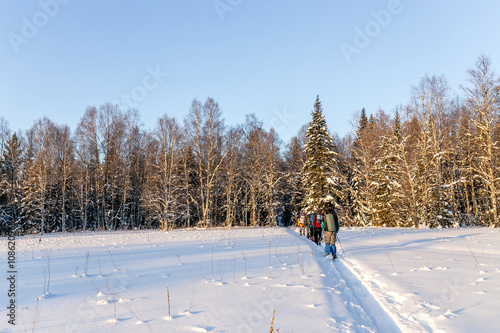 Cross country skiers in winter snow walking with backpacks in nature photo