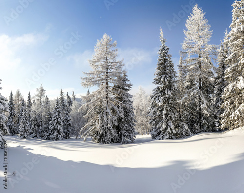 Trees covered with hoarfrost and snow in mountains © EdNurg