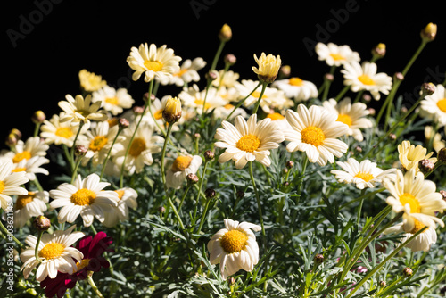 Der Frühling ist da!