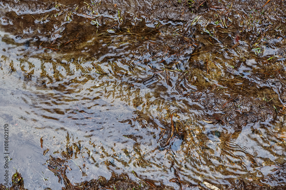 Obraz premium streams of water in a spring brook closeup blur bokeh
