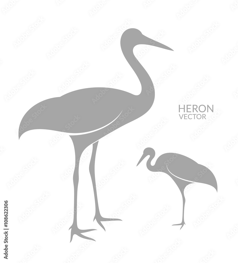 Heron. Isolated bird on white background