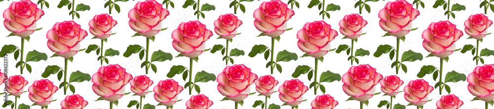 header panorama pattern flower rose red heart-shaped header panorama pattern flower rose red heart-shaped