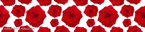 header panorama  pattern flower rose red  heart-shaped