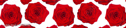 header panorama  pattern flower rose red  heart-shaped