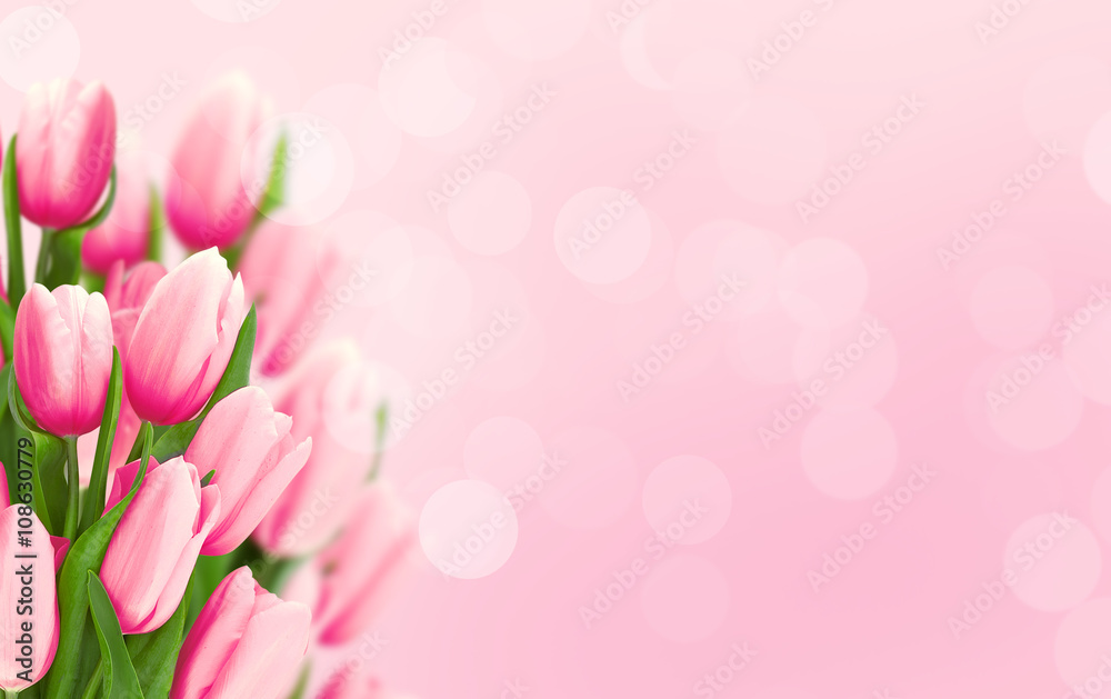 Bouquet of tulips on pink background with space for message.