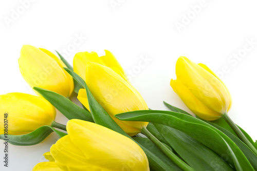 Bouquet of yellow tulips  on white background. Top view