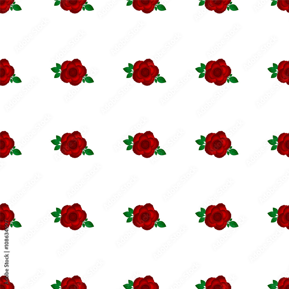 Background rose red white Background rose red white