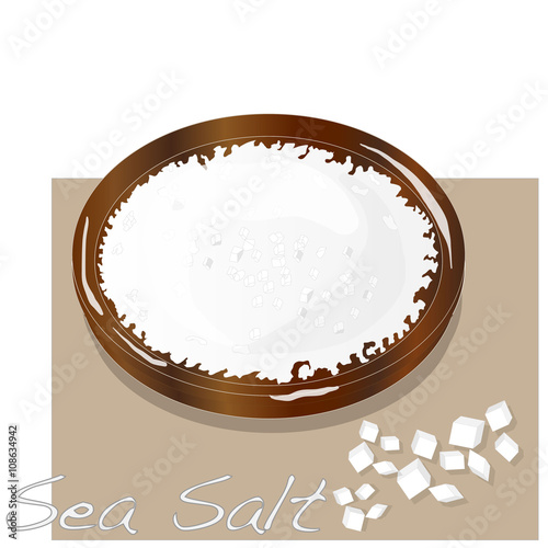 sea salt in wooden bowl vector isolated