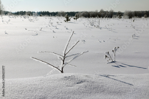 Podobny obraz