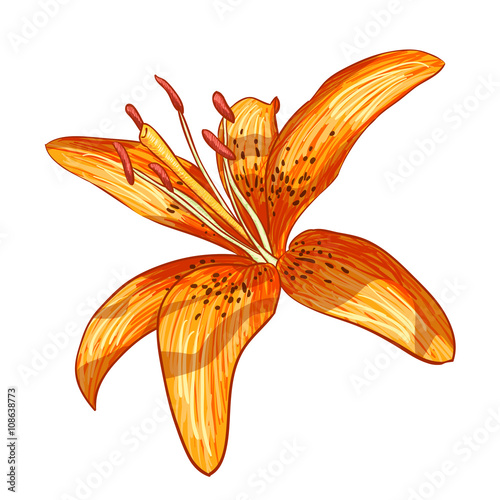 Fototapeta Naklejka Na Ścianę i Meble -  Vector illustration digital painting of flower