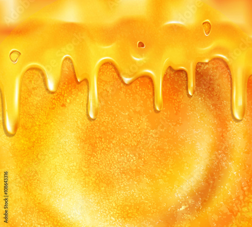 vector pancake with honey close-up