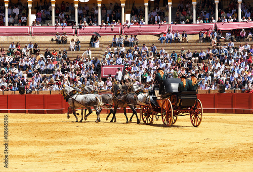 Espectáculo de coches de caballos, Sevilla, España