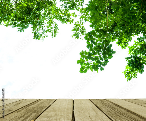 tree leaf and wood board on white background © showcake