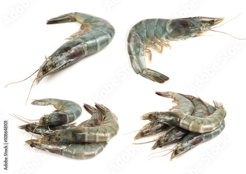 Collage of Fresh shrimp on a white background.