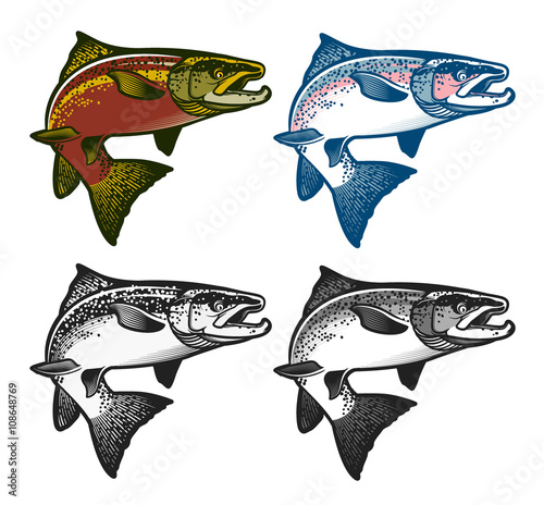 Fishing emblems, labels and design elements.