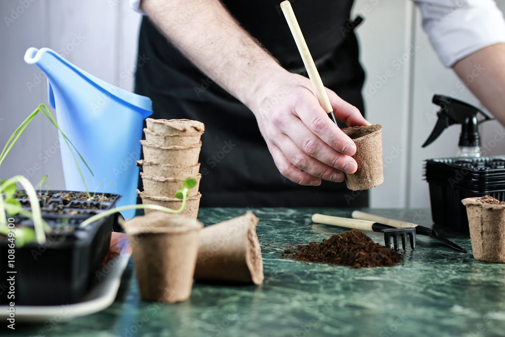 Fototapeta premium gardener hand sprout table