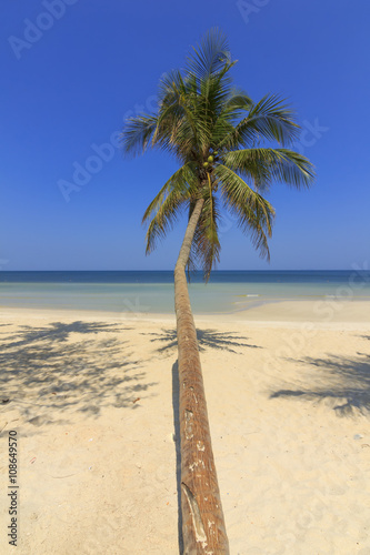 Tropical Beach , Thungwualaen Beach at Chumphon , Thailand photo