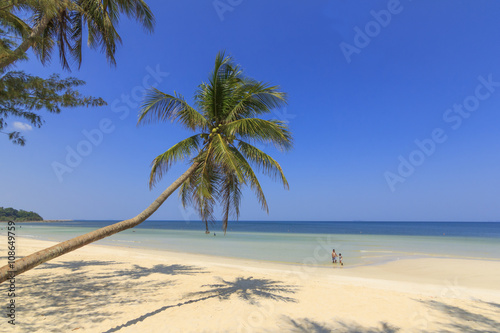 Tropical Beach   Thungwualaen Beach at Chumphon   Thailand  