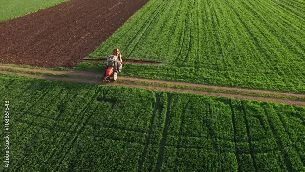 Aerial view of tractor spraying wheat field Aerial view of tractor spraying wheat field