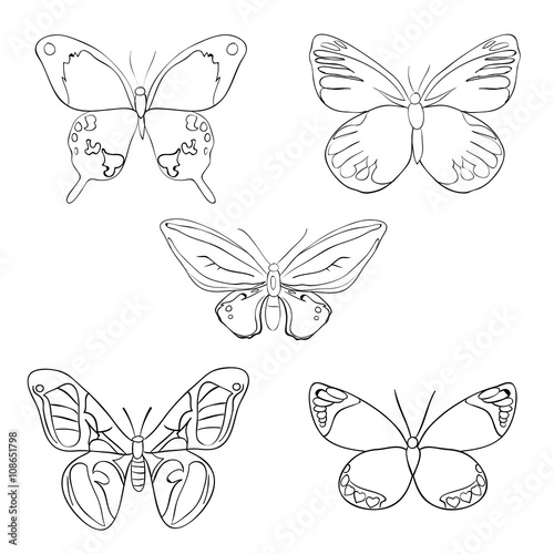 Set of sketches doodle butterflies