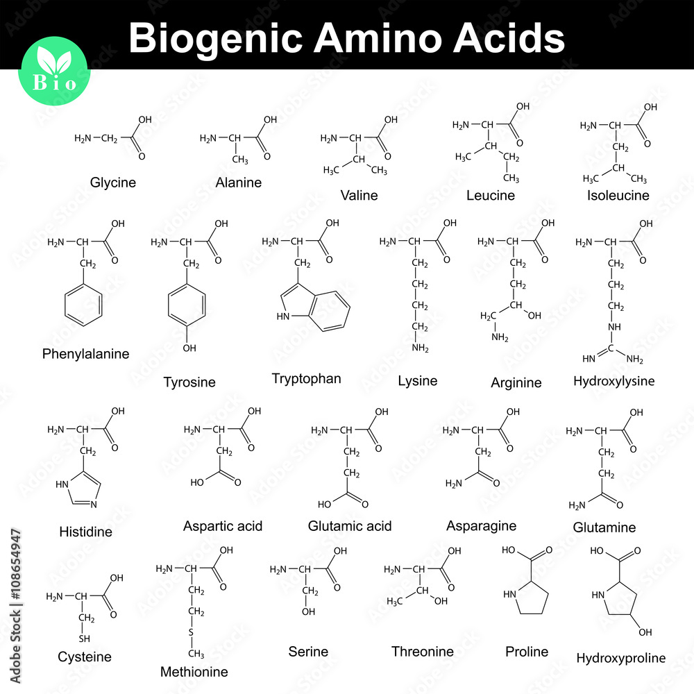 Biogenic amino acids