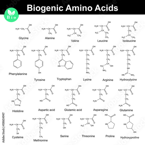 Biogenic amino acids