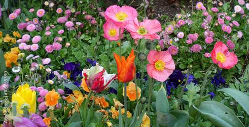 Obraz na plátne Jardin fleuri