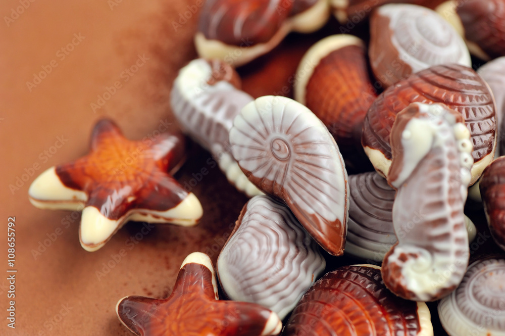 Mixed of chocolate seashell candies