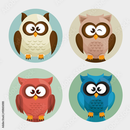 Wallpaper Mural Owl character design  Torontodigital.ca