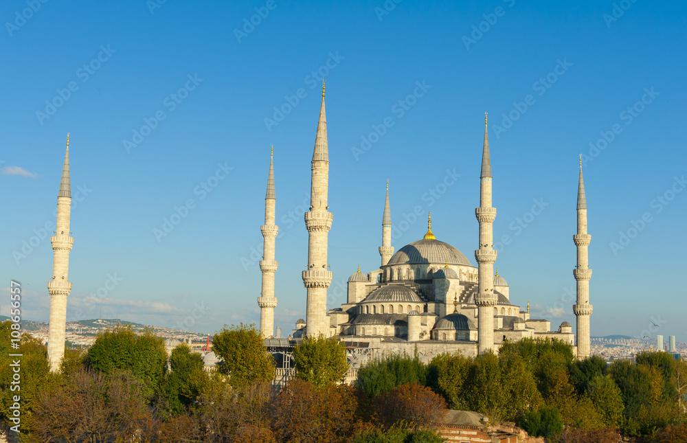 Fototapeta premium Blue Mosque