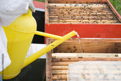 Supplemental feeding of bees