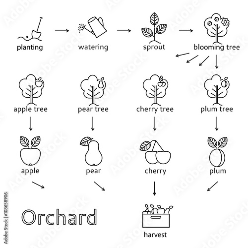 Orchard icons set. It can be used as poster.