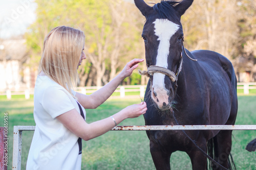 young woman petting a beautiful horse