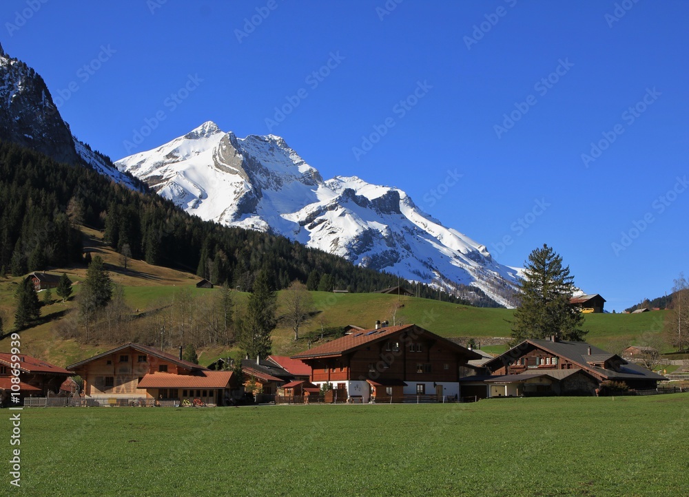 Snow covered Mt Oldenhorn and Swiss chalets on a green meadow