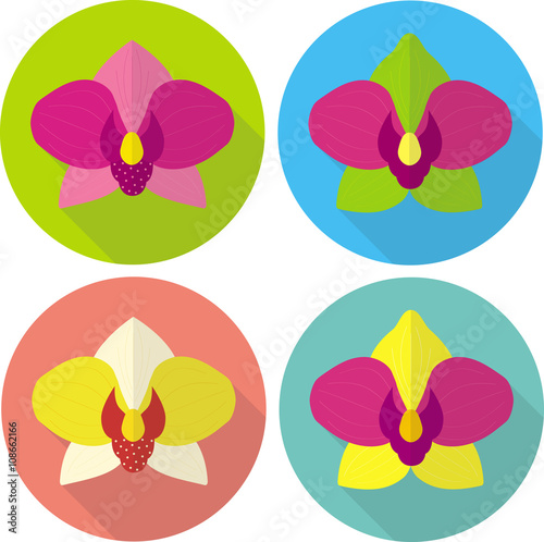 Flat icons of orchid. Set of colorful vector illustrations. Blooming of exotic flowers. Bright icon of single bud.