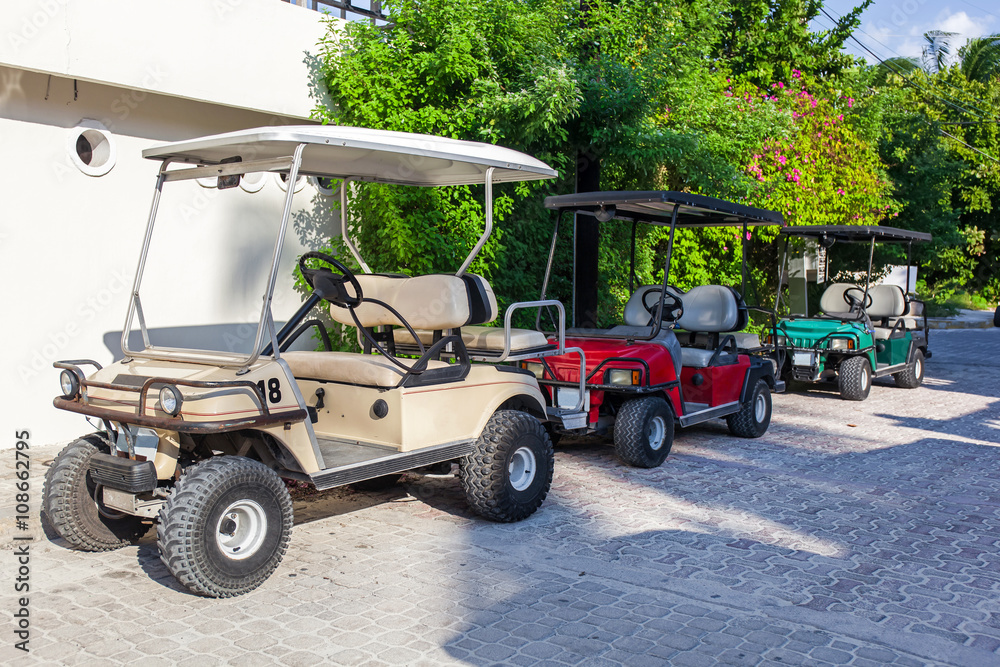 Golf carts in a raw