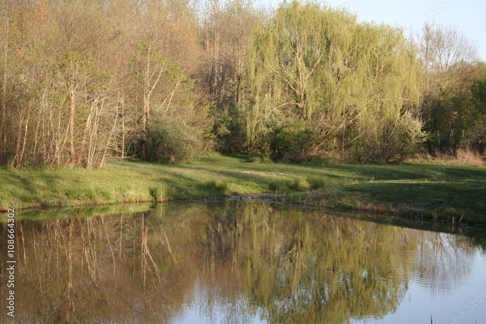 Fototapeta premium Sunset overlooking the pond