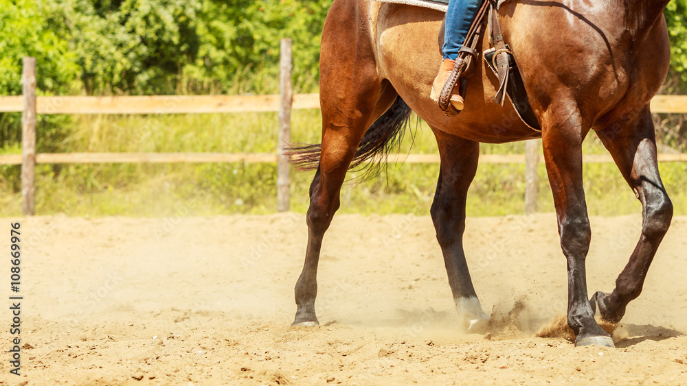 Obraz premium Jockey training riding horse. Sport activity