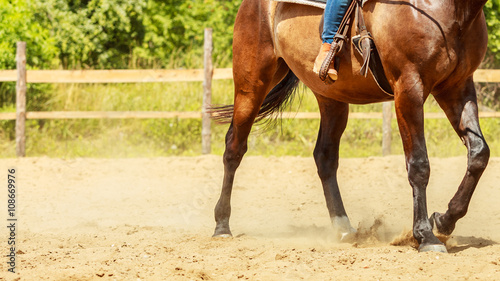 Jockey training riding horse. Sport activity © Voyagerix