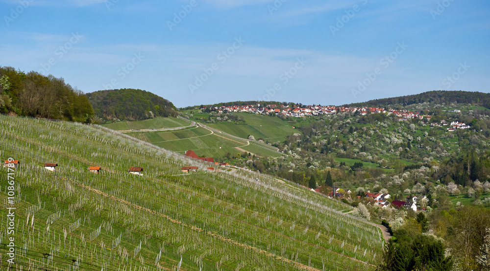 Winnenden mit den Ortsteilen Hanweiler und Breuningsweiler