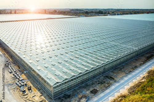 Large modern greenhouse