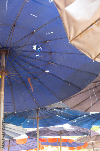 Umbrella covered with sun