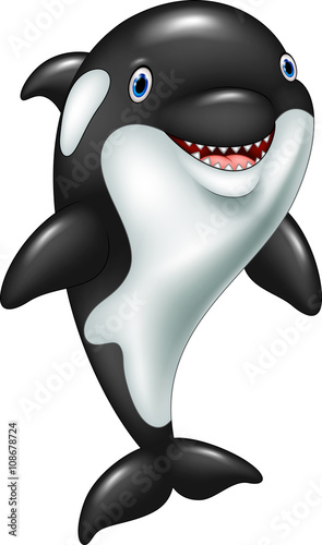Cartoon funny killer whale standing
