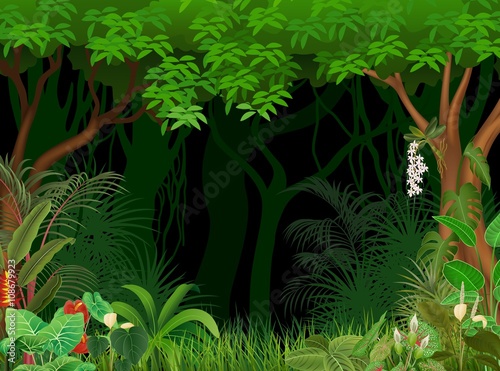 Illustration of forest background