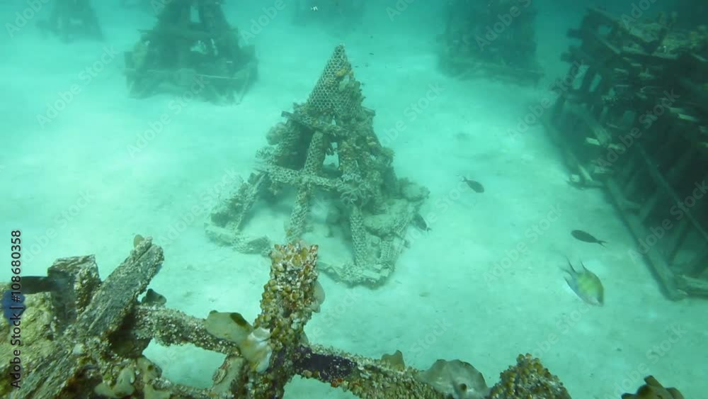 Pyramid artificial reef structures underwater, scuba diving at Mabul Island, Borneo 