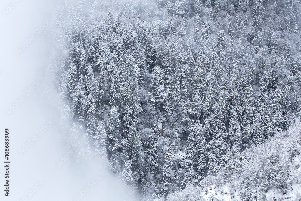 Mountain in snow Mountain in snow