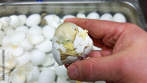 Rotten egg